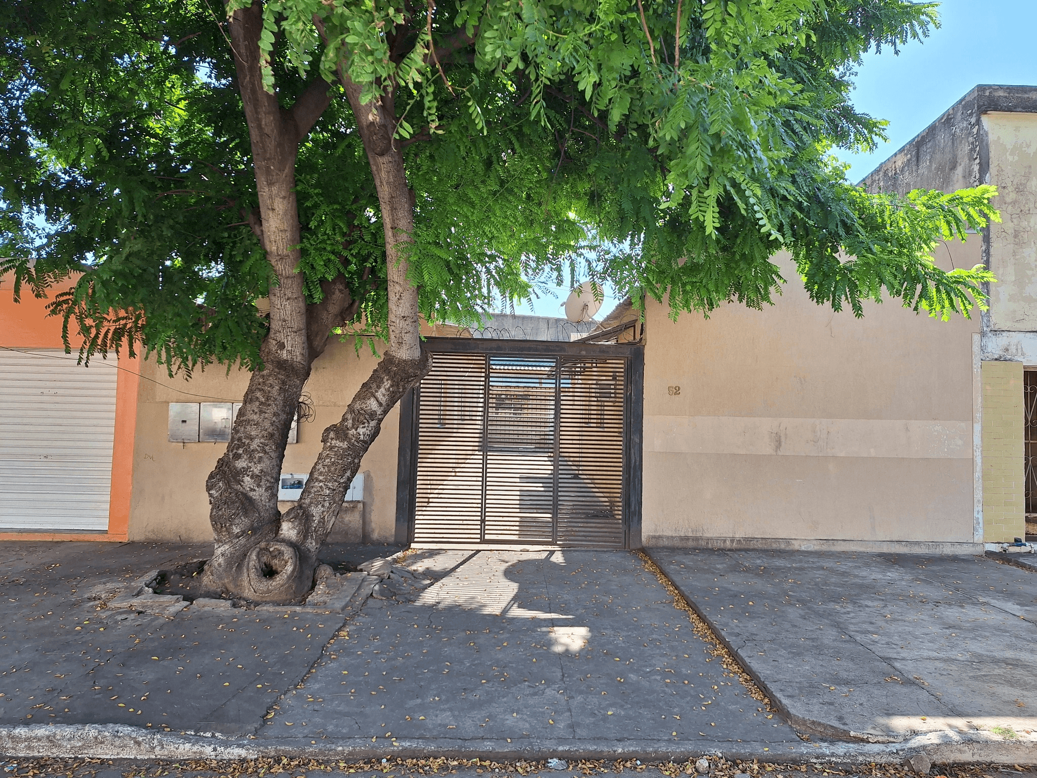 Imóvel com 3 casas à venda no bairro Maria Leite