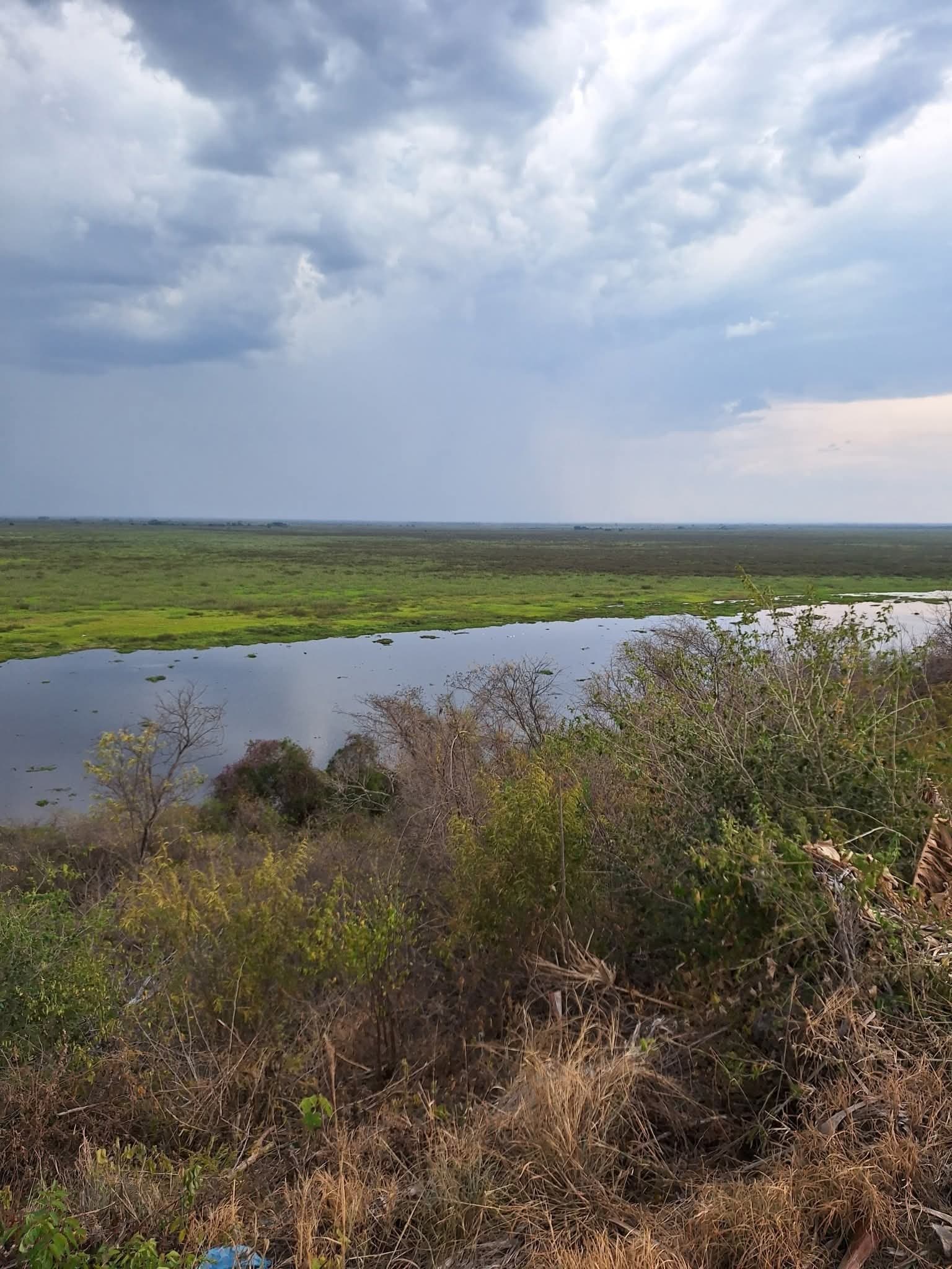 Terreno com vista para o Pantanal à venda no bairro Dom Bosco