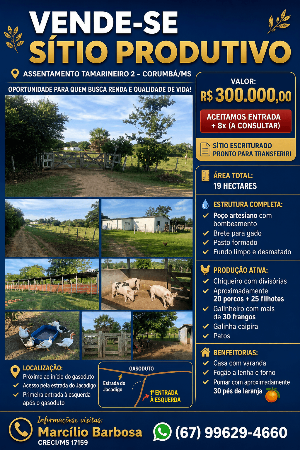 Sítio produtivo à venda no Assentamento Tamarineiro 2 em Corumbá